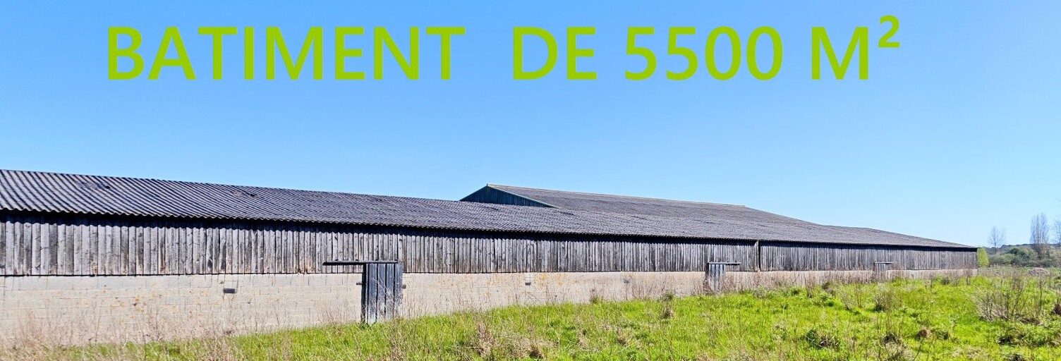Immeuble  5500 m² à vendre à Saint-Hilaire-de-Riez (85270)