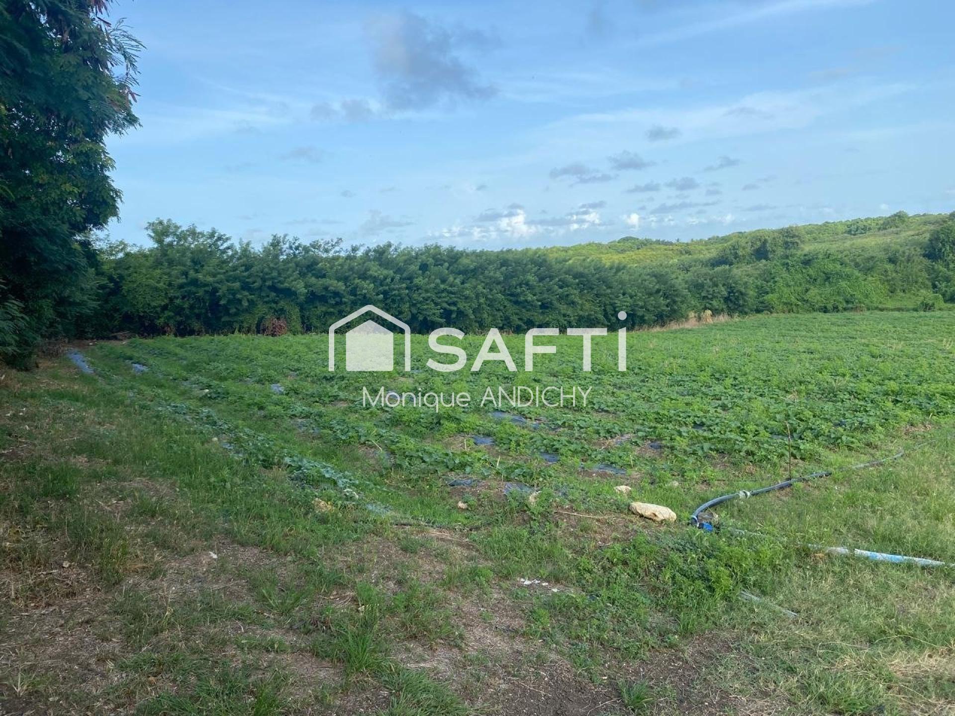 Agence immobilière de SAFTI