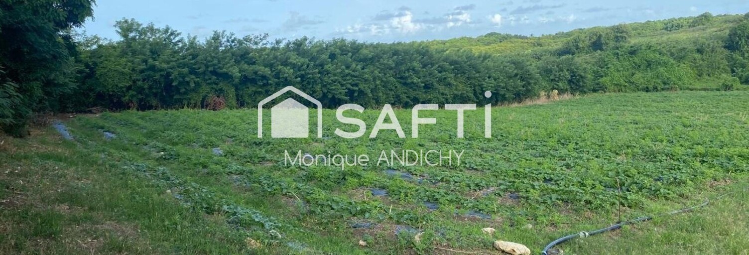 Terrain  2000 m² à vendre à Le Vauclin (97280)