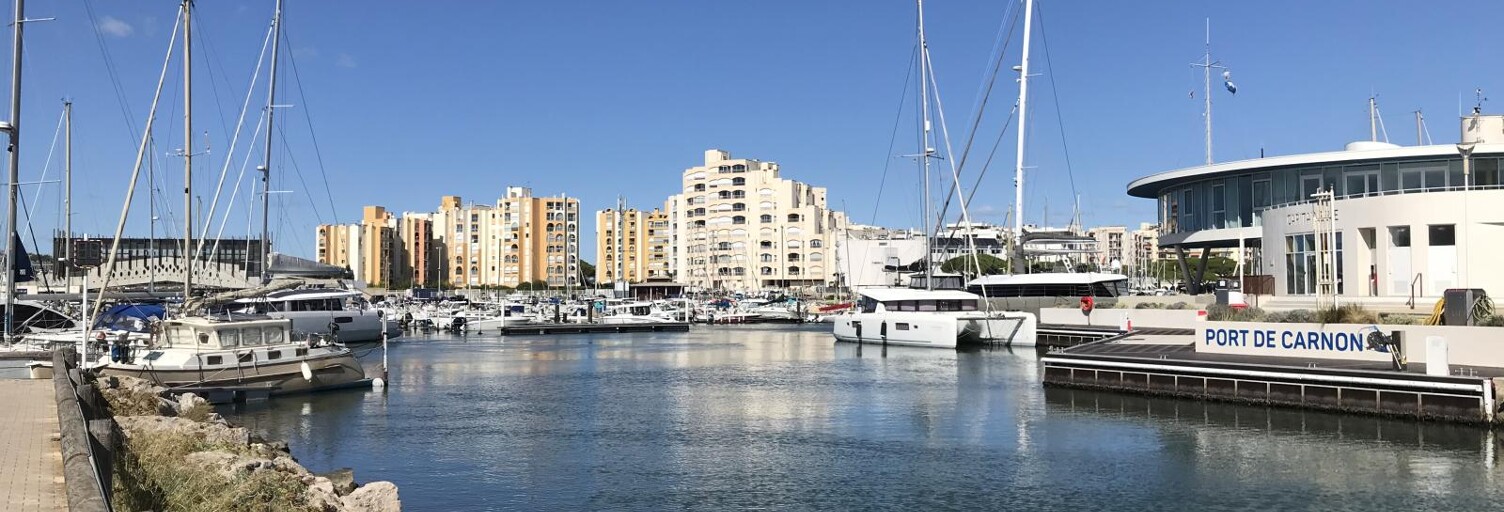 Appartement 190 m² en viager Mauguio (34130)