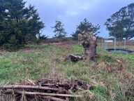 Terrain constructible à viabiliser sur Ile de Batz — photo 3