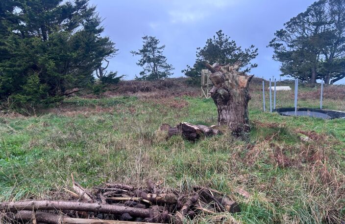 Terrain constructible à viabiliser sur Ile de Batz — photo 3