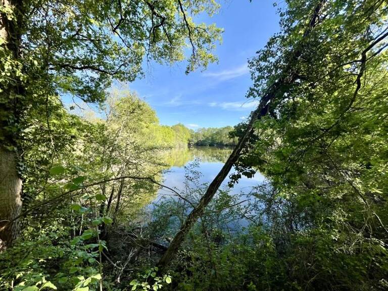 Domaine de 7 pièces principales — photo 1