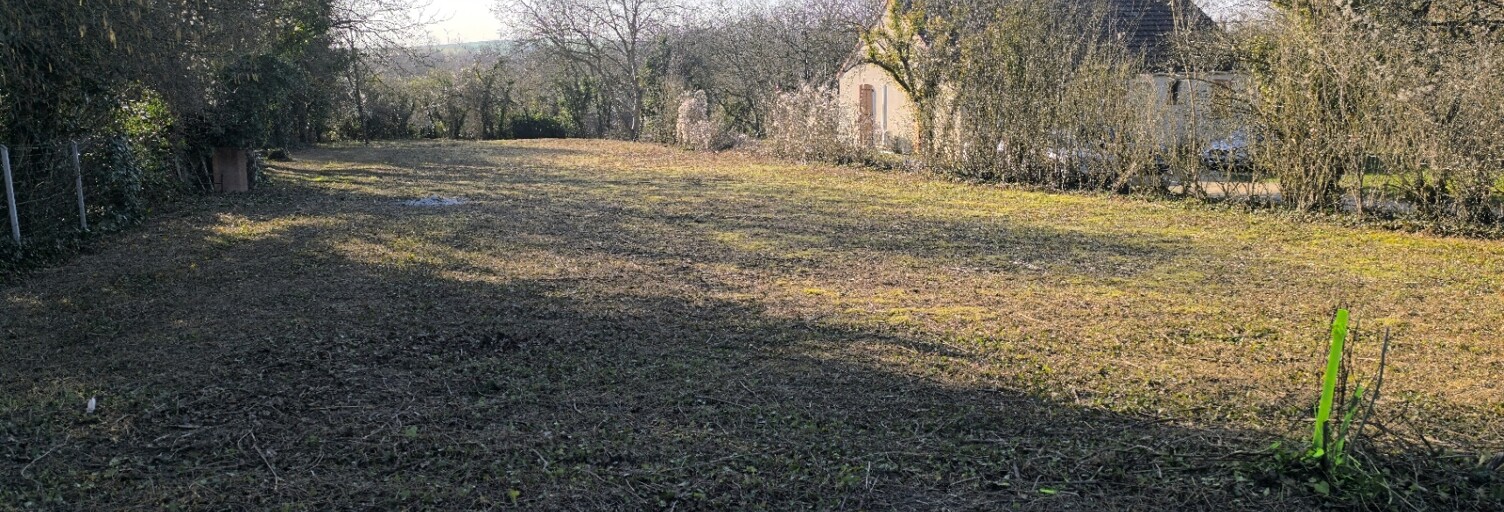 Terrain  1607 m² à vendre à Ablancourt (51240)