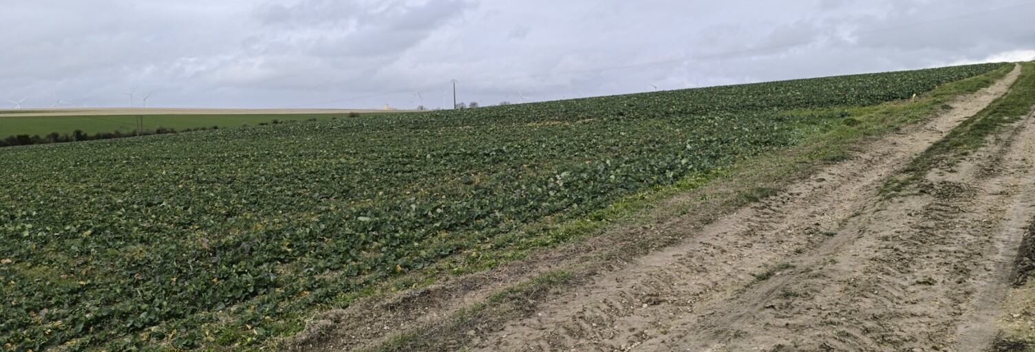Terrain  1407 m² à vendre à Ablancourt (51240)