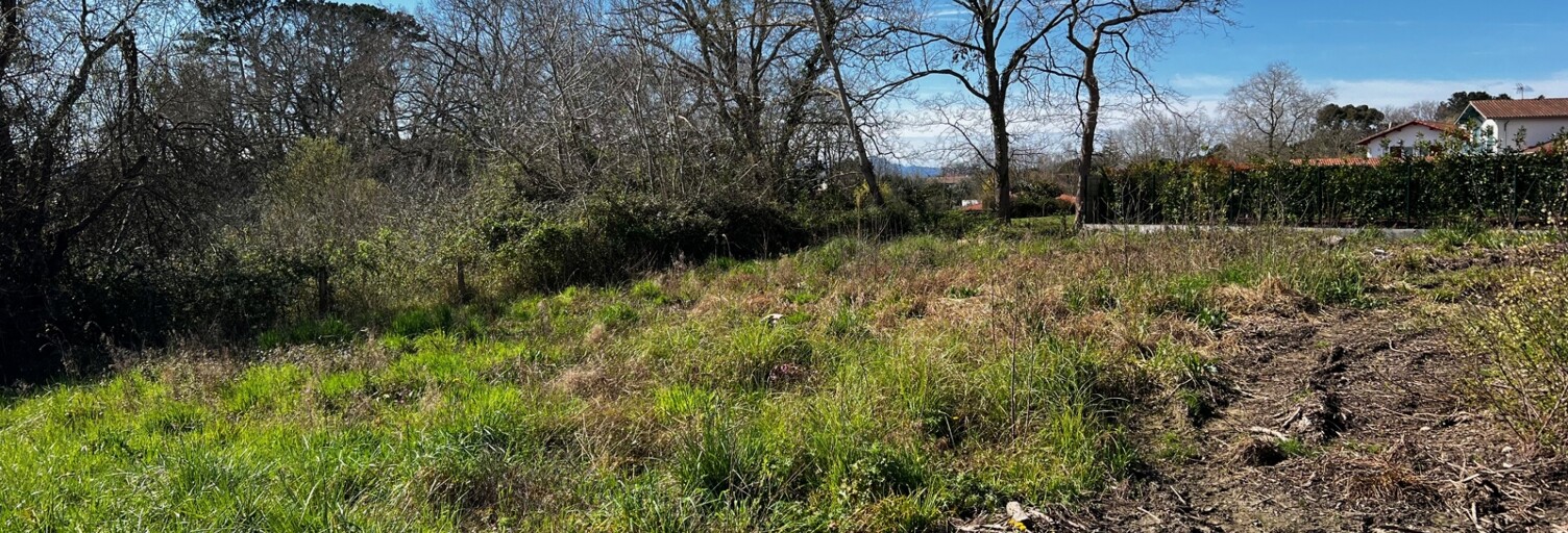 Terrain  844 m² à vendre à Arcangues (64200)