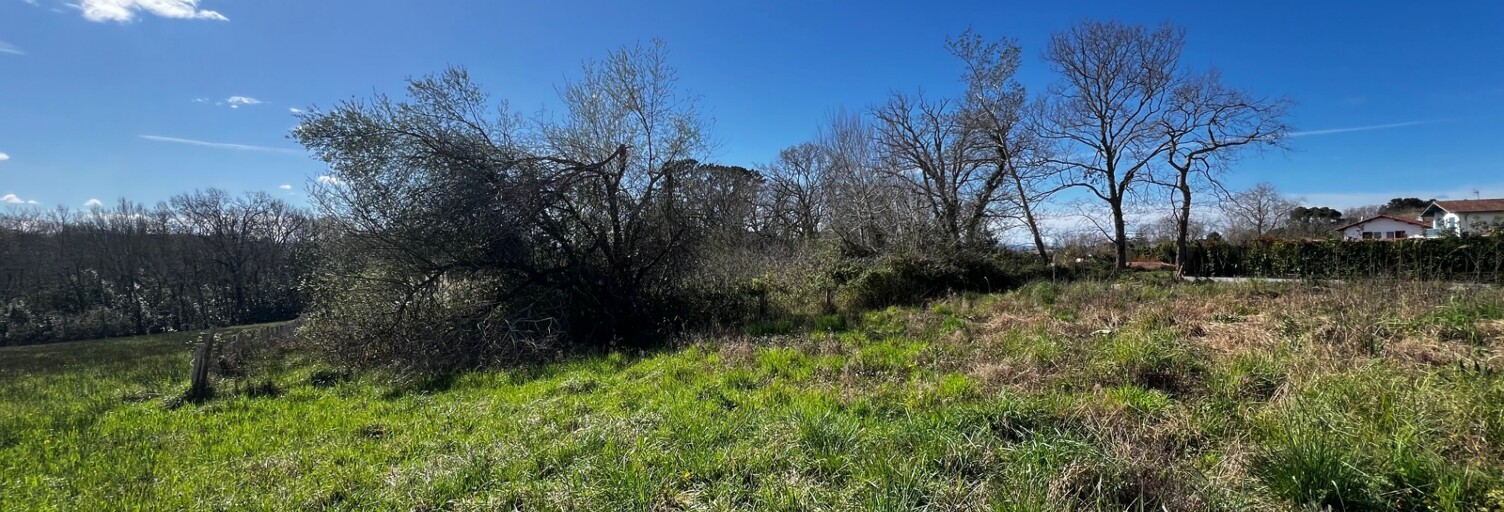 Terrain  844 m² à vendre à Arcangues (64200)
