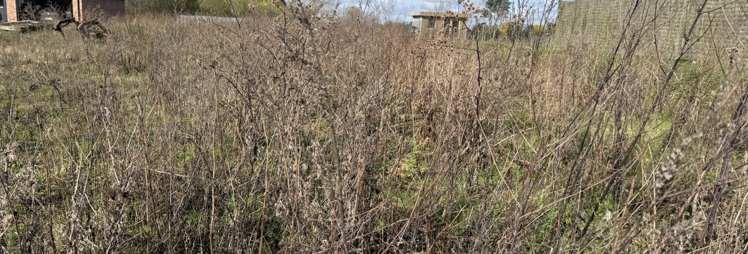 Terrain  890 m² à vendre à Faumont (59310)