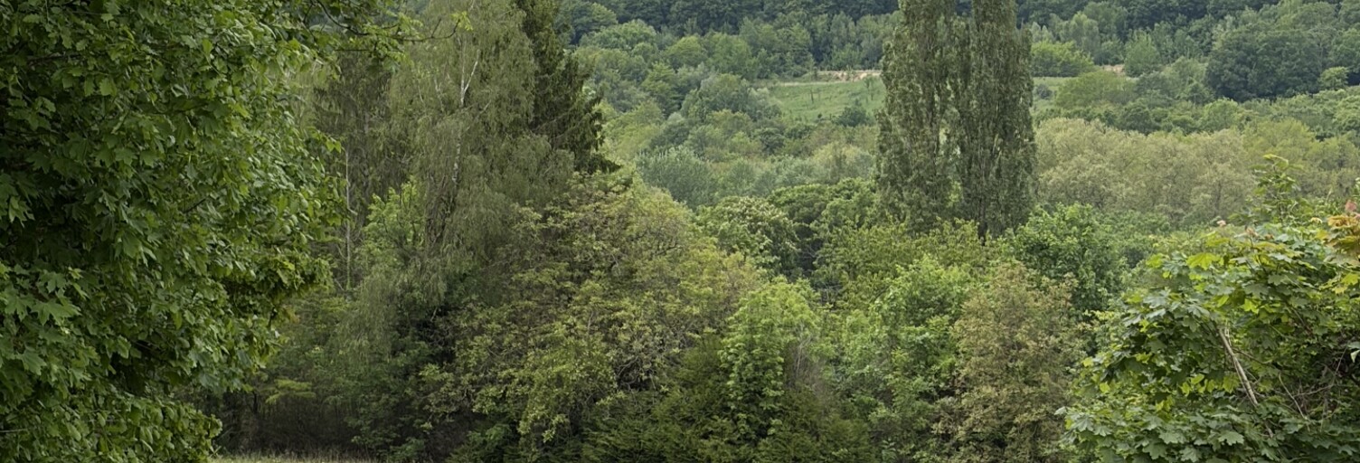 Terrain  11700 m² à vendre à Château-Thierry (02400)