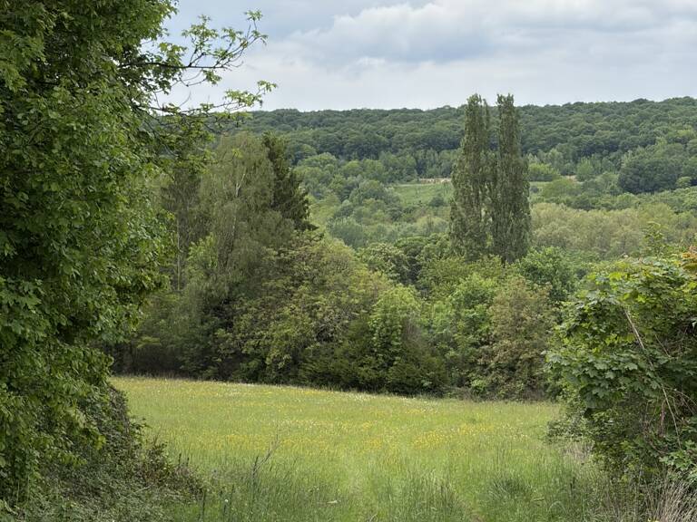 Vente Terrain 11 700 m&sup2; — photo 1
