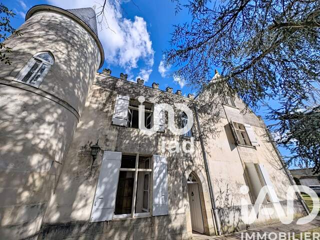 Vente Château 10 pièces — photo du bien
