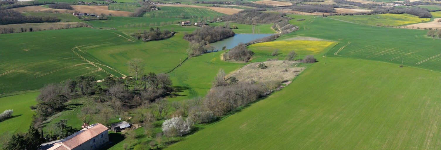 Maison 7 Pièces 217 m² à vendre à Saint-Félix-Lauragais (31540)