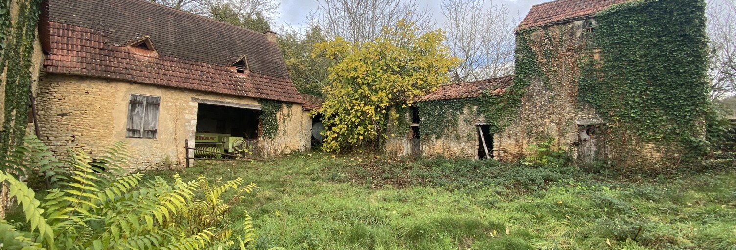 Maison 1 Pièce 200 m² à vendre à Saint-Germain-de-Belvès (24170)