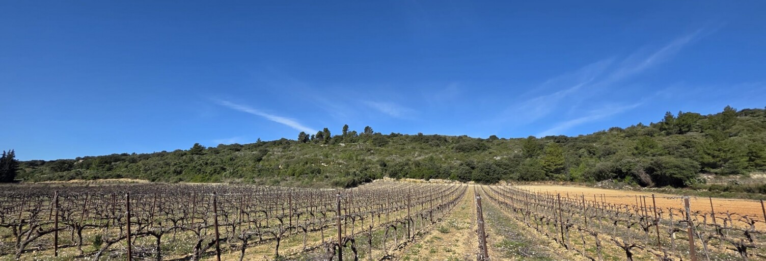 Terrain  6320 m² à vendre à Saint-Saturnin-de-Lucian (34725)