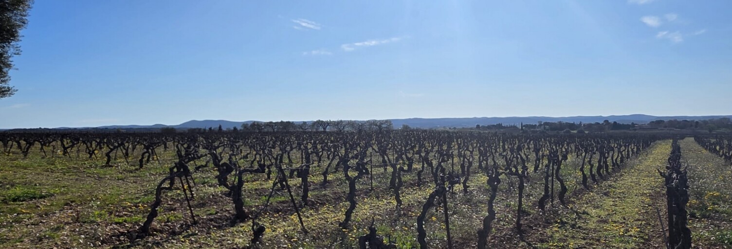 Terrain  7180 m² à vendre à Saint-Saturnin-de-Lucian (34725)