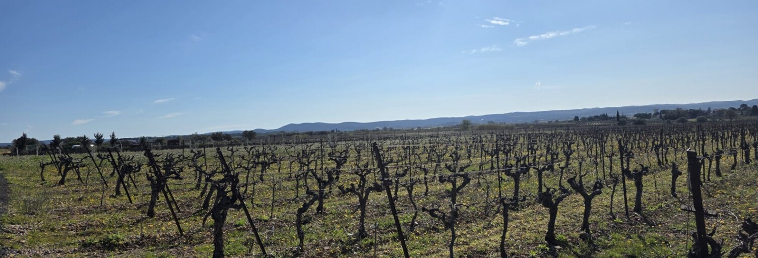 Terrain  6340 m² à vendre à Saint-Saturnin-de-Lucian (34725)