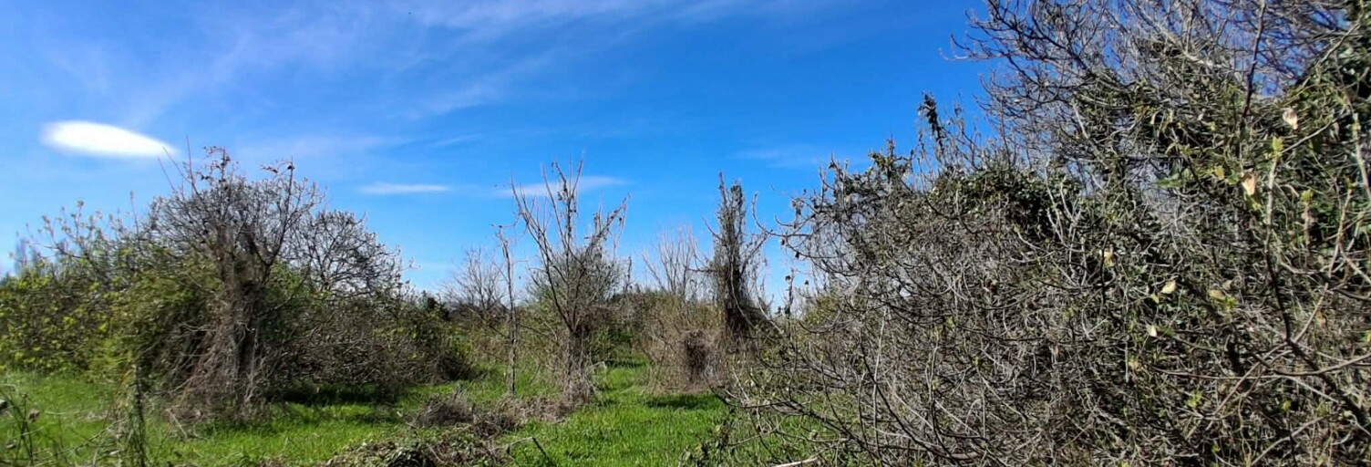 Terrain  4000 m² à vendre à Canet-en-Roussillon (66140)