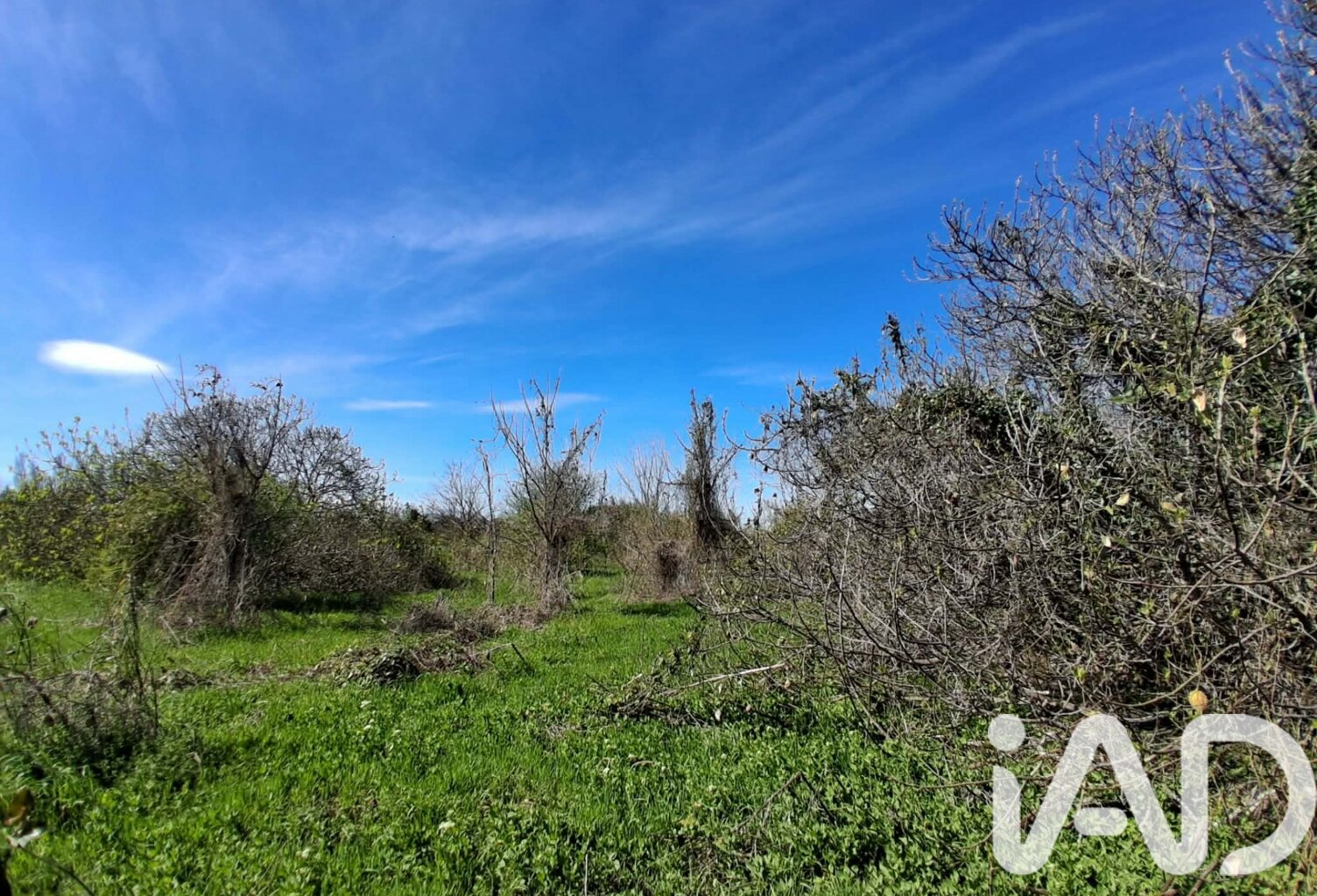 Vente Terrain 4 000 m&sup2; — photo 1