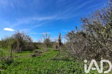 Terrain  45000 €