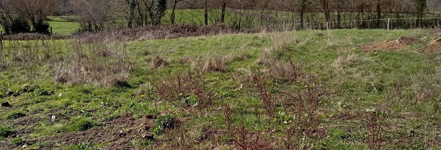 Terrain  1227 m² à vendre à Ferrières-sur-Sichon (03250)