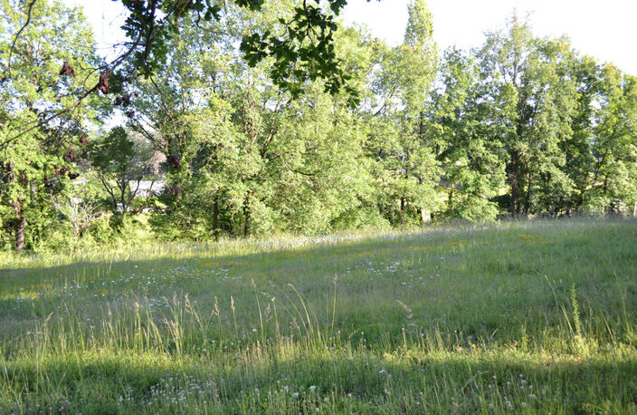 SECTEUR LARCHE/LA Feuillade- TERRAIN 2000 m2 avec TOUT A L EGOUT — photo 2