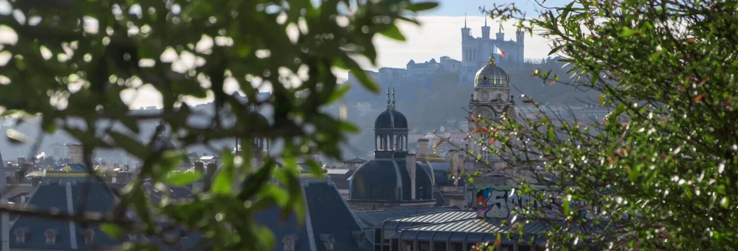 Appartement 7 Pièces 303 m² à vendre à Lyon 1 (69001)