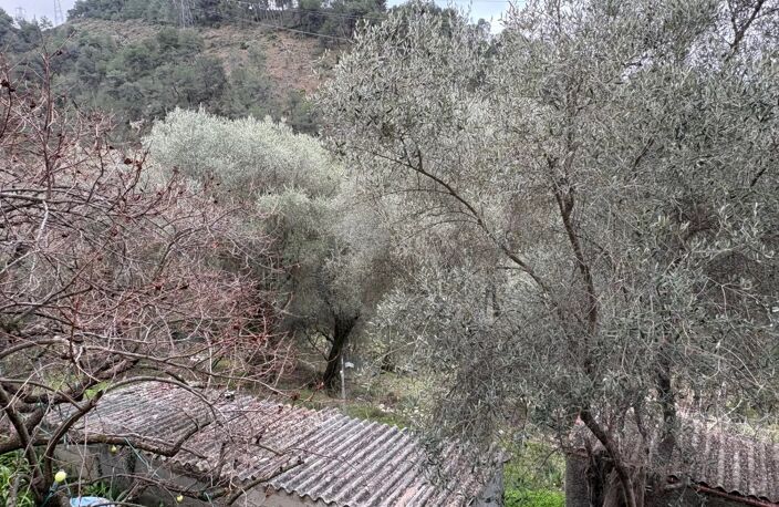 MAISON DE VILLAGE AVEC TERRAIN HAUT DE TOURETTE LEVENS — photo 3