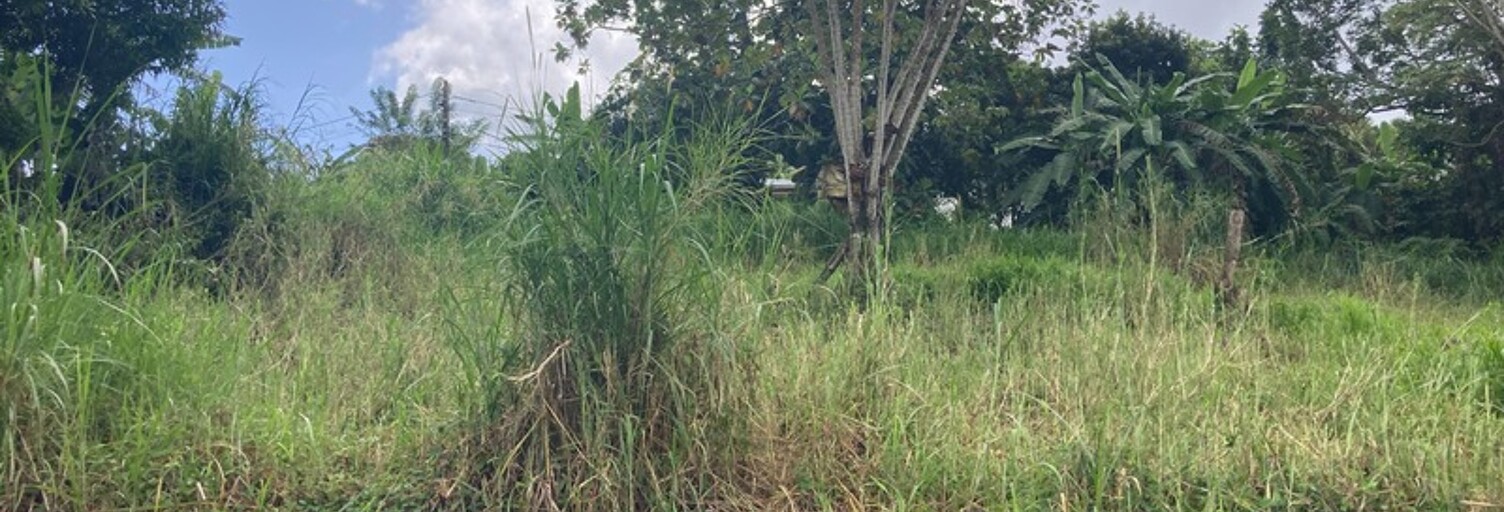 Terrain  1424 m² à vendre à Saint-Esprit (97270)