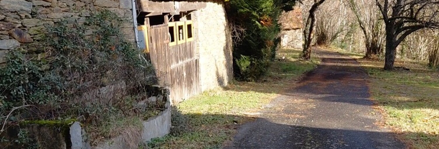 Maison 6 Pièces 165 m² à vendre à Vieillevie (15120)