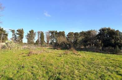 Terrain  315000 €