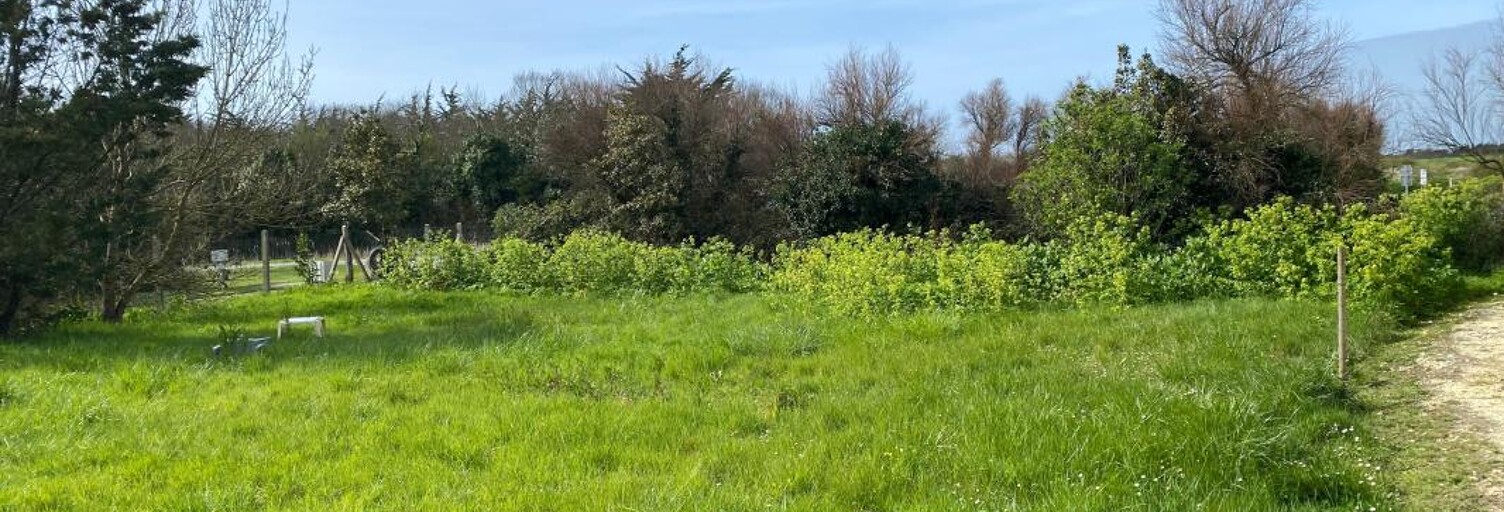 Terrain  1020 m² à vendre à Saint-Pierre-d'Oléron (17310)