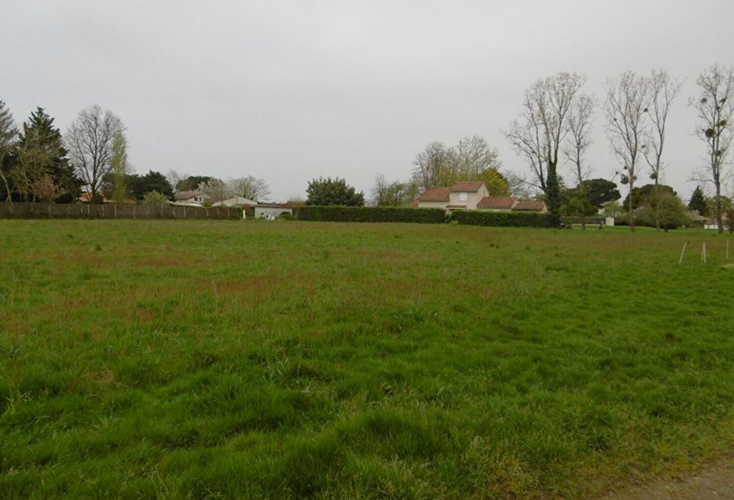Terrain  2800 m2 — photo 1