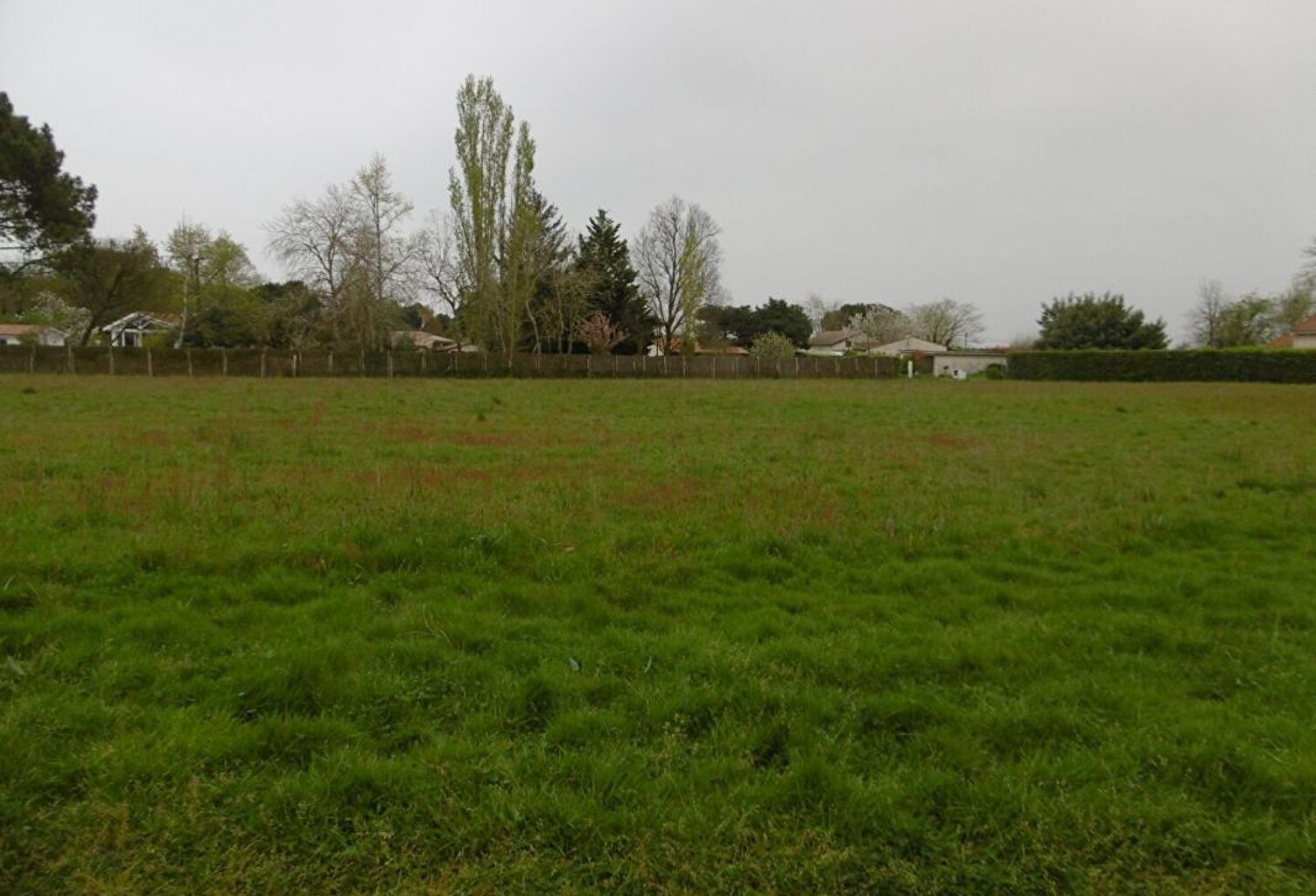 Terrain  2300 m2 — photo 1