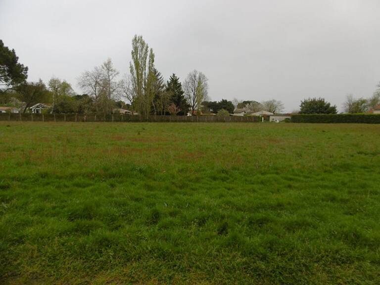 Terrain  2300 m2 — photo 1