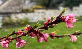 Maison 4 Pièces 67 m² à vendre à Vigny (95450)
