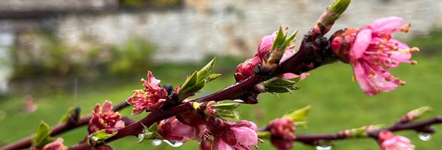 Maison 4 Pièces 67 m² à vendre à Vigny (95450)