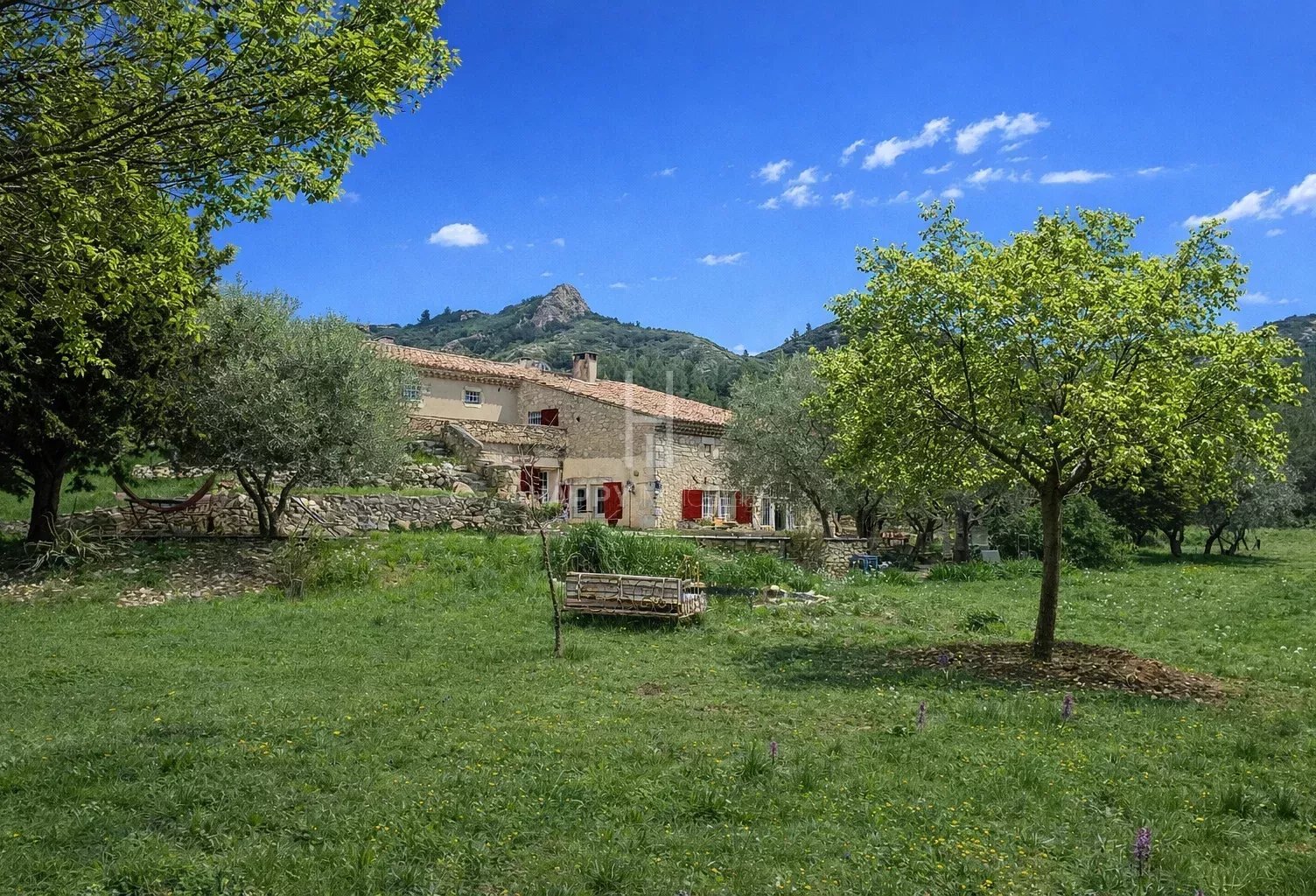 Mas en pierre Eygalières sur 3 hectares — photo 1