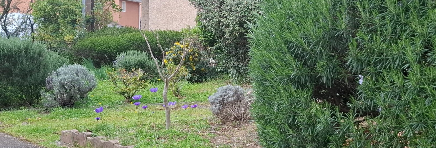 Maison 4 Pièces 73 m² à vendre à Toulouse (31300)