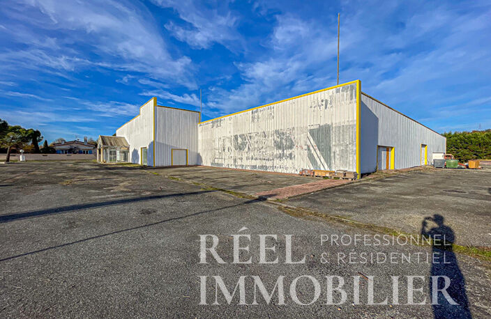 Local commercial de grande surface avec parking  - Emplacement n°1 — photo 3
