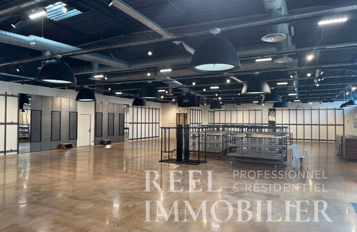 Auch : Local commercial de 600 m² dans zone commerciale — photo 4