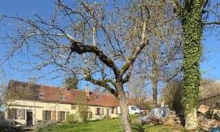 Maison 8 Pièces 215 m² à vendre à Villeneuve-l'Archevêque (89190)