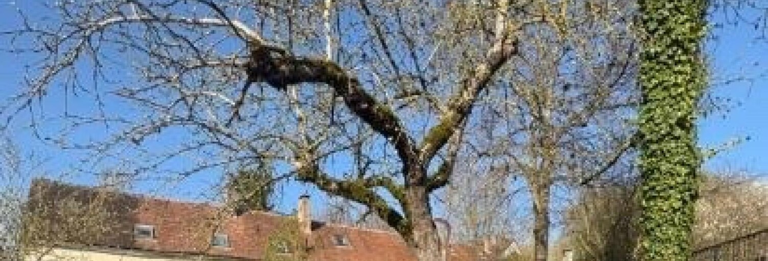 Maison 8 Pièces 215 m² à vendre à Sens (89100)