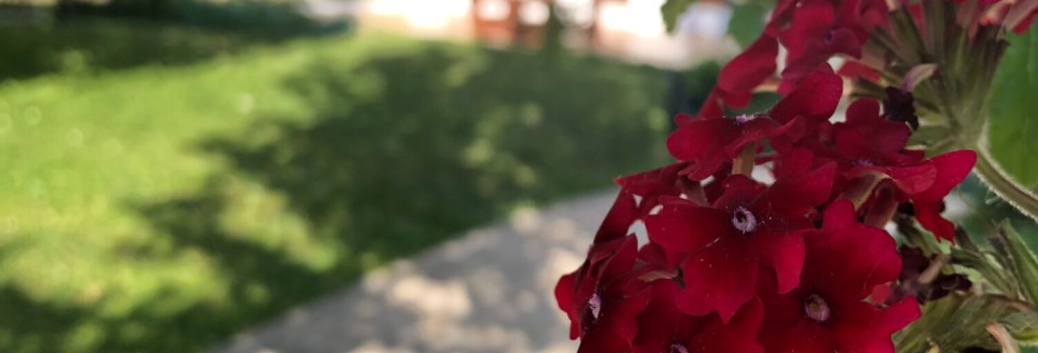 Maison  144 m² à vendre à Méru (60110)