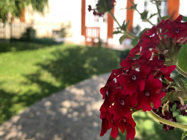 vente maison — photo 1