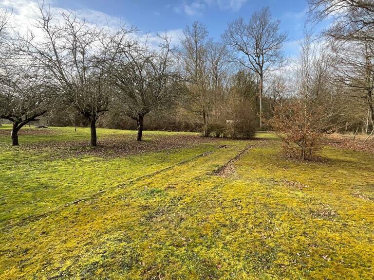 Local commercial avec terrain — photo 1