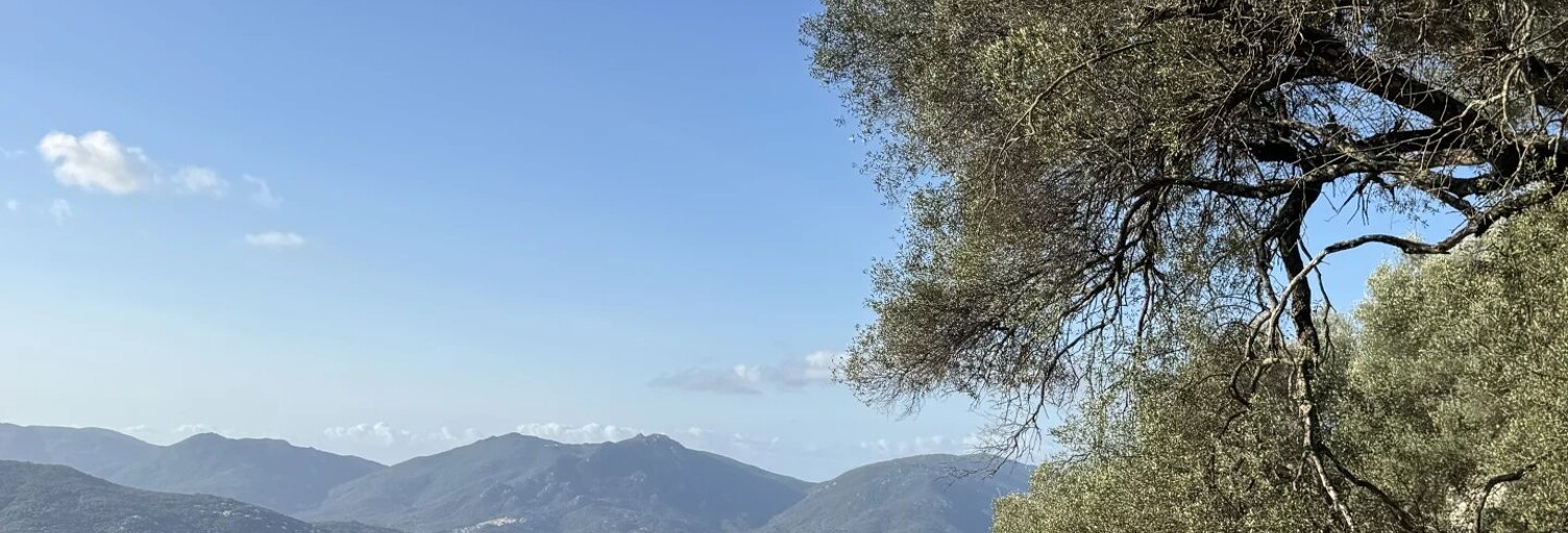 Terrain  1124 m² à vendre à Olmeto (20113)