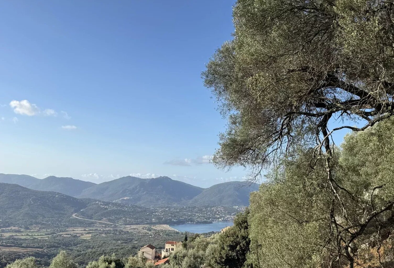 RARE À LA VENTE - TERRAIN CONSTRUCTIBLE OLMETO — photo 1
