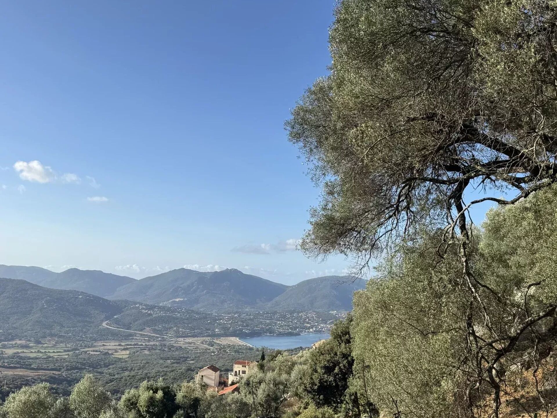 Vente Terrain 1124 m2 à Olmeto · 163 000 €