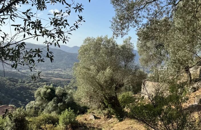 RARE À LA VENTE - TERRAIN CONSTRUCTIBLE OLMETO — photo 2