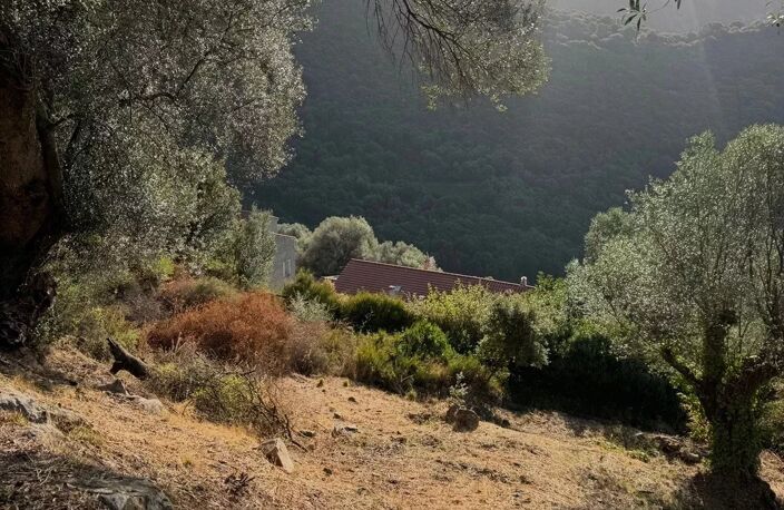 RARE À LA VENTE - TERRAIN CONSTRUCTIBLE OLMETO — photo 3